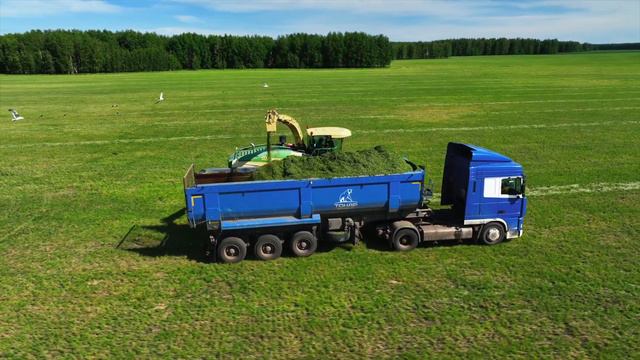 Сбор люцерны на сенаж смотреть онлайн