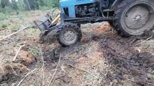 Мтз 82.Заготовка древесины и уборка нелеквида