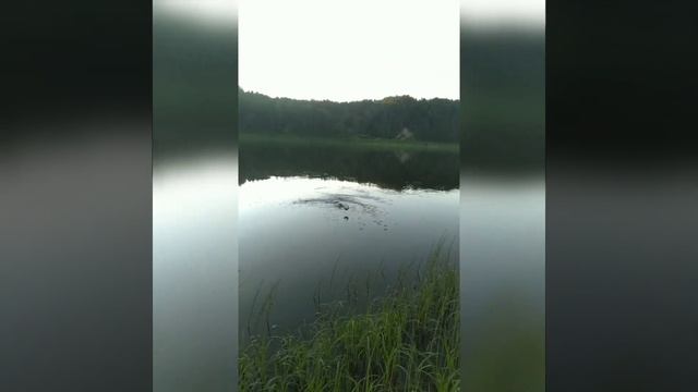 ЛОВЛЯ ЯЗЯ И ПЛОТВЫ НА ПОПЛАВОК С БЕРЕГА. ОТЛИЧНЫЕ ПОКЛЁВКИ. УДОЧКА ГНЁТСЯ. РЫБАЛКА НА ПОПЛАВОК 2022 смотреть онлайн