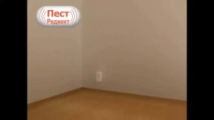 Leomax отпугиватель насекомых и грызунов