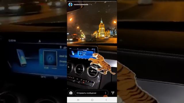 Неонила Нестерова отметила 14 февраля с любимым