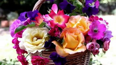 С_ДНЕМ_РОЖДЕНИЯ_МУЗЫКАЛЬНАЯ_ОТКРЫТКА_ПОЗДРАВЛЕНИЕ(1).mp4