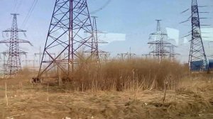 Высоковольтная ЛЭП в Ленинградской области