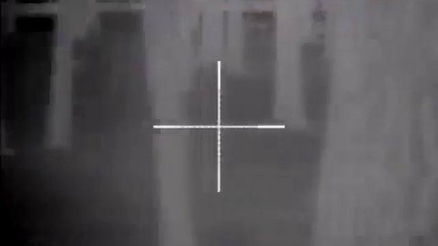 Тепловизионный прицел PULSAR APEX XD50 смотреть онлайн