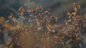 Производство компании ООО 'Сашера Мед'