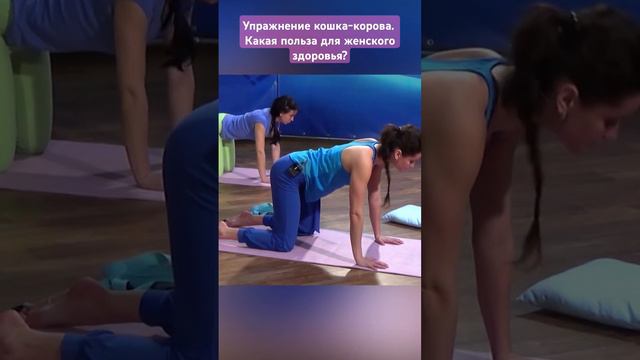 Женская йога, самые полезные упражнения для женского здоровья кошка-корова. 47 уроков - timestudy.ru смотреть онлайн