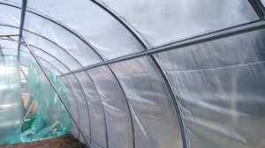 Теплица из w образного профиля.