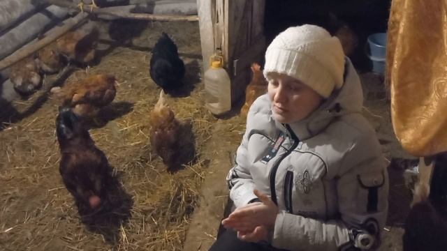 что нужно,чтоб неслись куры зимой?