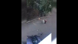 Агрессивный алабай напал на женщину в Октябрьском районе
