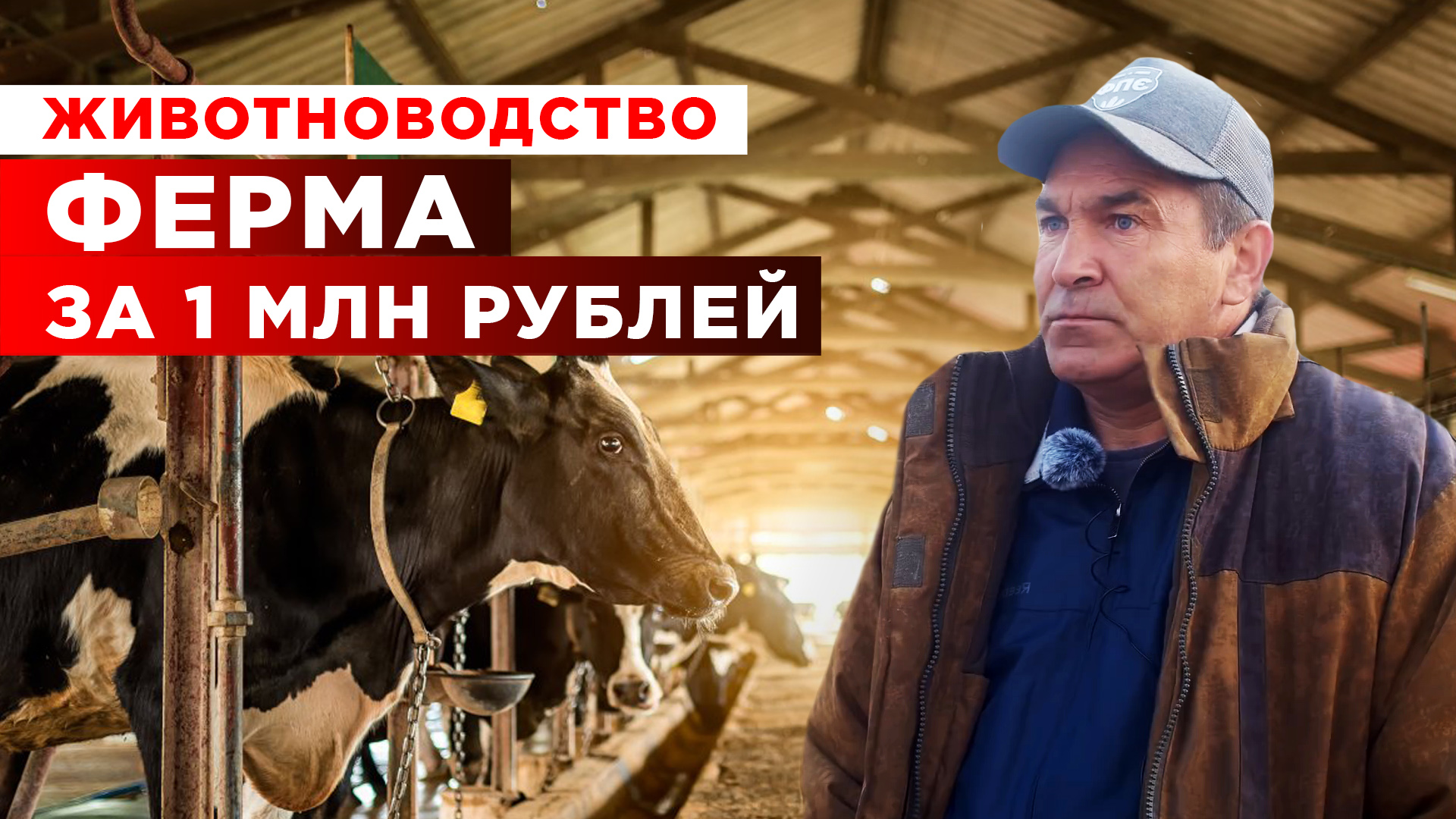 Ферма за 1 млн. рублей | Мясное животноводство | Фермерское хозяйство с нуля