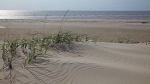 Ветер на берегу