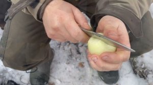 Уха на костре Царская уха #леснаякухня #костер #еданакостре #природа #осётр