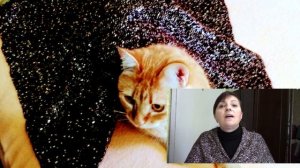 Самая простая безрукавка жилетка вязание спицами