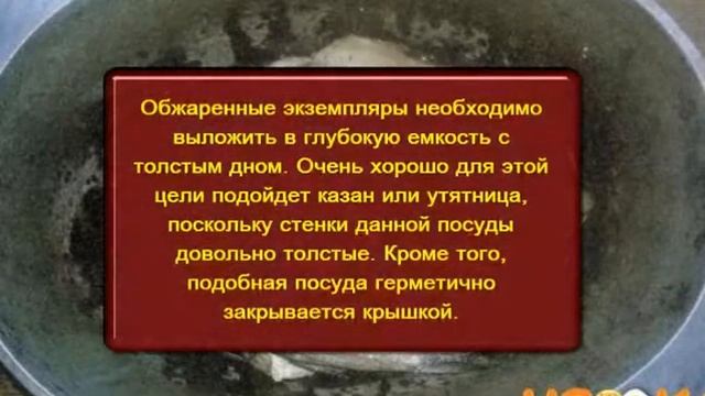 Как приготовить вкусные шпроты из речной рыбы в домашних условиях