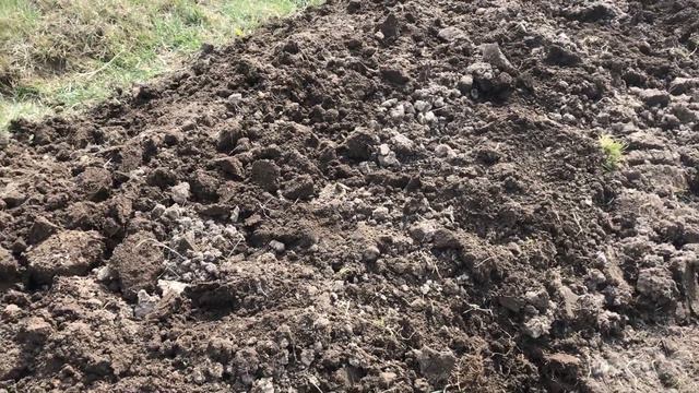 Целый день на огороде.