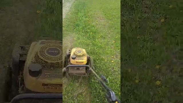 Колесный триммер чемпион смотреть онлайн