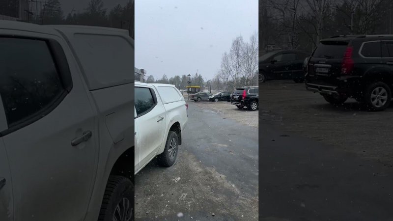Остаемся зимовать
