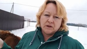 Чем кормить КОЗЛЯТ, когда нет молока у КОЗЫ? Зимние развлечения ?