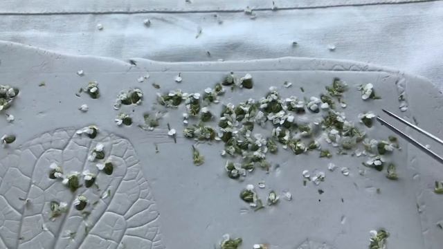 Christmas/Winter Home Decor/Gypsum Panel/Tutorial/Рождество/Гипсовое Панно/Мастер-класс