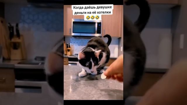 1000002089.mp4 смотреть онлайн