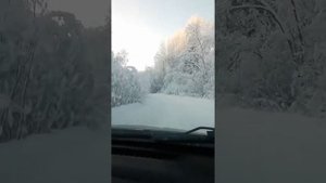 Солза-Прокшино январь 2019