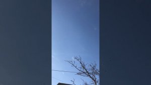 Голуби Калмыкии