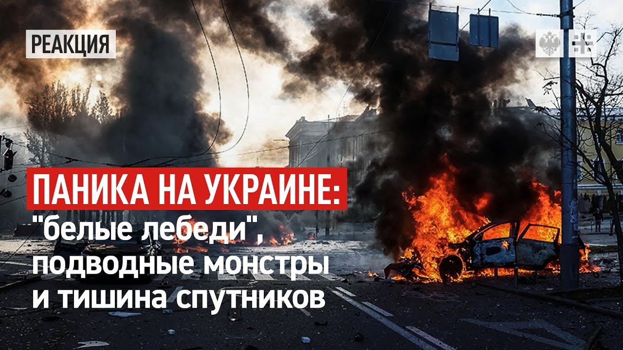 Паника на Украине: "Белые лебеди", подводные монстры и тишина спутников