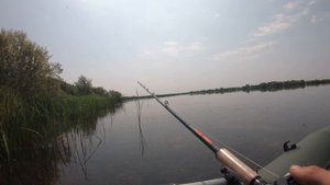 ЗМЕЕГОЛОВ НА ИСКУССТВЕННУЮ ЛЯГУШКУ ЧАСТЬ 2 / Spring Snakeheads