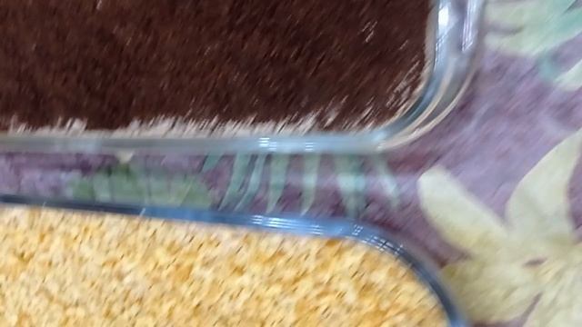 ТОРТИКИ ДЛЯ ДИАБЕТИКА НА НОВЫЙ ГОД! смотреть онлайн