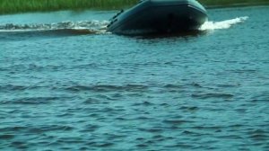 Сапсан 340 + Тохатсу 5 л.с. 4-х т .