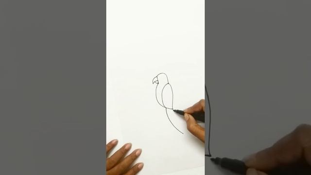 how to draw parrot | draw parrot easy| draw parrot for kids |how to draw bird