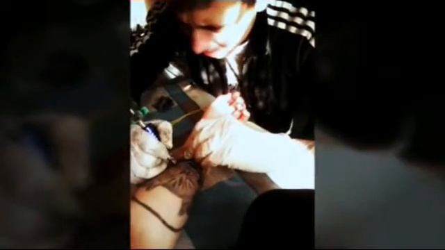 Делаем кота видео #1 смотреть онлайн