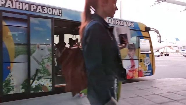 СВИТАНОК киев тбилиси смотреть онлайн