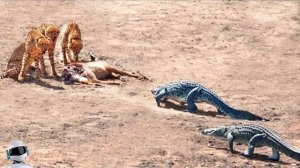 Уничтожил за Секунду / Редкие Битвы Животных Снятые на Камеру