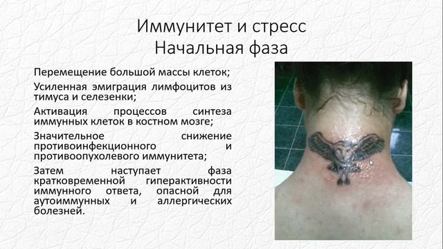 Иммунная система человека и ее отклик на перманентный макияж и татуаж