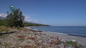 Байкало-Ленский заповедник (ФГБУ "Заповедное Прибайкалье")