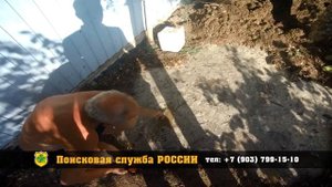 Как найти люк колодца под асфальтом и в земле