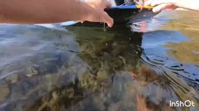 Виндсёрфинг, первые шаги.Когда нет ветра. смотреть онлайн