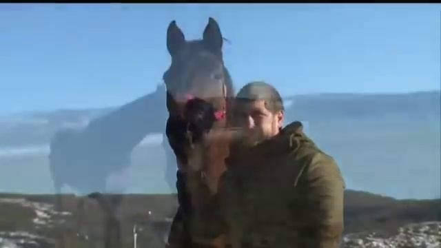 Рамзан Кадыров выходил пензенскую лошадь смотреть онлайн