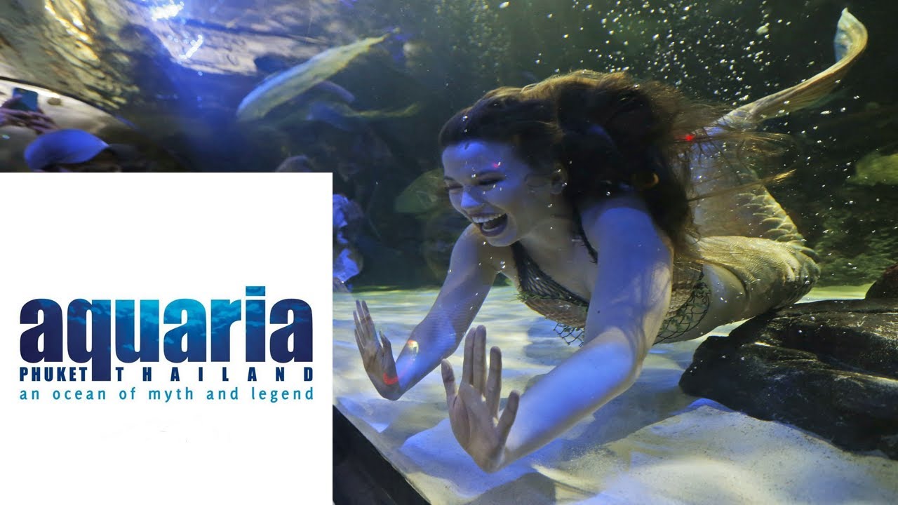 Aquaria Phuket Thailand Новый аквариум в ТЦ Central Floresta