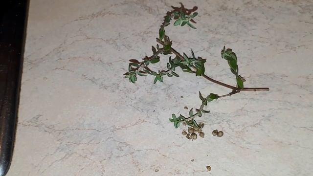 Куриные сердца с грибами и сыром в сметане