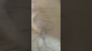 Альтеп 300 КВ мощный дровяной котел на обогрев 4000 кв метров