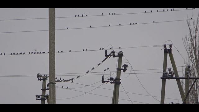 ЩУЧЬЕ РАНДЕВУ и тест CRAZY FISH ARION 1-7g