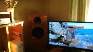 самодельная акустика на эстрадных динамиках.