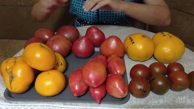 Томат 2021: Кумато; Мин. Стакан; В. Зосси; Чер. Бизон; Батяня; Дети Беслана. смотреть онлайн