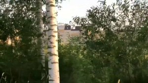 Видеообзор: Загородный комплекс отдыха "Завидово"