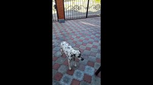 Отзыв о продукте HemoHim. Татьяна Другова. Mrs.Atomy 2023