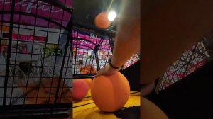 706 Points | 5 Balls | Street Basketball Arcade w/ Broken Sensor @ Funworld Royal Plaza (28.07.2022