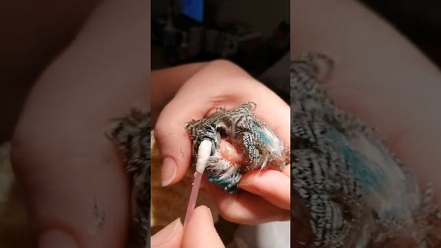 Под кожей черви