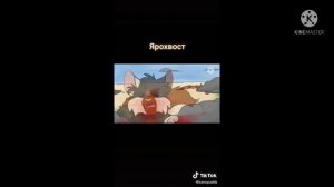 Коты воители Ярохвост из тик тока
